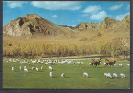 Mongolia, Zabhan Aimak, Bogdyn Gol River, Sheeps And Camels, Nice Stamp, 1971. - Mongolië