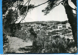 LES CAMOINS  Beau Plan-  -vue D'ensemble- Coté Ouest- édition Sté De Françe-a Voyagé En 1956 - Les Caillols, La Valentine