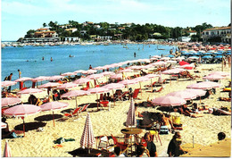 83 CPM CAVALAIRE SUR MER - La Plage 1974 - La Perle Du Var - Cavalaire-sur-Mer