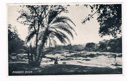 AFR- 1547   ZAMBIA : Zambesi River - Zambie