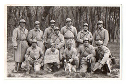 CPA 3316 - MILITARIA - Carte Photo Militaire - Soldats N° 54 Sur Les Cols & Petit Chien Au Camp Militaire De CHAMBARAN - Personen