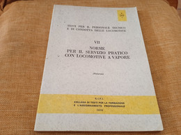 F.S. NORME PER IL SERVIZIO PRATICO CON LOCAZIONE A VAPORE 1976 - Matemáticas Y Física