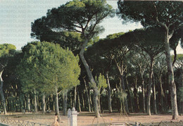 CARTOLINA  FREGENE,FIUMICINO,LAZIO,LA PINETA-SPIAGGIA,MARE,SOLE,VACANZA,ESTATE,LUNGOMARE,BELLA ITALIA,VIAGGIATA 1970 - Fiumicino