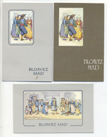 Lot De 3 Cartes De Vœux Illustrées De Bretagne - BLOAVEZ  MAD - Contemporain (à Partir De 1950)