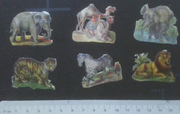 ► LOT Animal Africa (Animaux D'Afrique Ou Zoo)  Découpis époque Victorienne XIXe "Victorian Die-cuts" - Animals