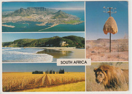 Südafrika - South Africa