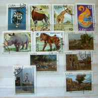 Cuba 1978 - 1979 - Animals Okapi Giraffe Rhinoceros Monkey Paintings - Cartas & Documentos