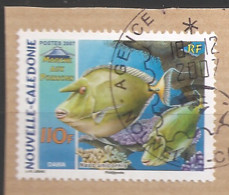 Nouvelle-Calédonie 2007 N° 1000 Iso O Le Marché Aux Poissons, Dawa, Naso Unicornis, Corail, Poisson-chirurgien, Nageoire - Used Stamps