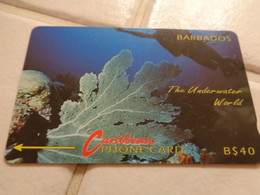 Barbados Phonecard - Barbados