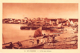 ¤¤    -     SAINT-PIERRE-et-MIQUELON  -  SAINT-PIERRE   -  L'Ile Aux Chiens    -    ¤¤ - Saint Pierre And Miquelon