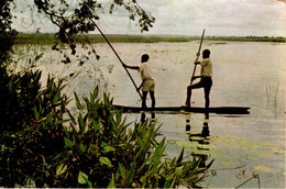 ANGOLA - Nas Lagoas De CATETE - Angola