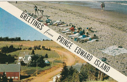 Greetings From Prince Edward Island Glue On Back Colle En Dos - Andere & Zonder Classificatie