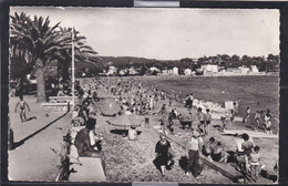 83 - La Seyne Sur Mer - La Plage Des Sablettes - La Seyne-sur-Mer