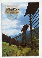 MC 099075 UNO VIENNA - Wien -  40 Jahre Vereinte Nationen - Cartoline Maximum