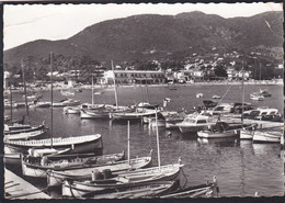 83 - Cavalaire - Le Port - Cavalaire-sur-Mer