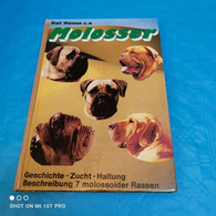 Walt Weisse U.a. - Molosser - Dieren