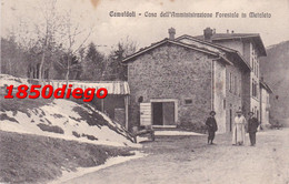 CAMALDOLI - CASA DELL'AMMINISTRAZIONE FORESTALE IN METALETO F/PICCOLO VIAGGIATA   ANIMAZIONE - Arezzo