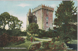 IRELAND - Blarney Castle County Cork - Good Animation Etc - Cork