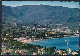 83 - Cavalaire Sur Mer - La Plage Vue De La Colline - Cavalaire-sur-Mer