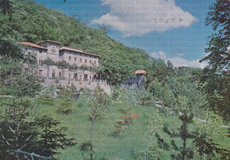 CARTOLINA  LA VERNA,AREZZO,TOSCANA,VILLA DELLE ROSE M.980,STORIA,MEMORIA,CULTURA,RELIGIONE,BELLA ITALIA,VIAGGIATA 1971 - Arezzo