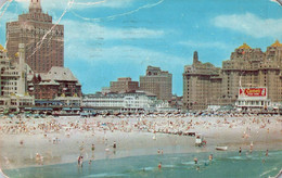 Atlantic City - View From Million Dollar Pier - Atlantic City