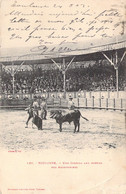 CPA Précurseur - CORRIDA - 126 - TOULOUSE - Une Corrida Aux Arènes Des Amodonniers - Dos Non Divisé - Stierkampf