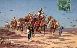 PERLBERG - Caravane De Chameaux,  Nomades Dans Le Désert - Perlberg, F.