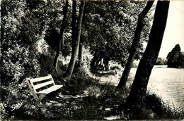 Guémené Penfao * La Promenade Du Paradis * Parc Jardin Chemin - Guémené-Penfao