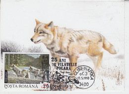 Romania Polar Fox 1v Maxicard  Ca 17.5.1993 (58280) - Faune Arctique