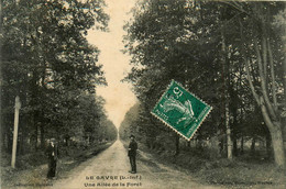 Le Gâvre * Dans La Forêt * Une Allée * Chemin - Le Gavre