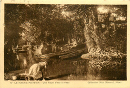 Niort * Le Marais Poitevin * Une Route D'eau à Irieau * Lavoir Laveuse - Niort