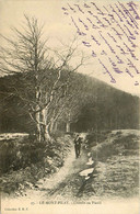 Le Mont Pilat * Vue Sur Le Chemin Au Planil - Mont Pilat