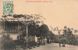 CPA NOUVELLE CALEDONIE - Cafeiere à Canala - W H L Editeur - - Nouvelle-Calédonie