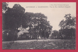 Carte Neuve Vue Du Parc Bailliard Chappelle - Maringues - Puy-de-Dôme (63C) - Maringues