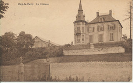 ORP-le-PETIT      Le Château. - Orp-Jauche