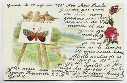 CARTE PAPILLONS OISEAUX POSTEE A GENEVE 1901 POUR CHAMONIX HAUTE SAVOIE - Papillons