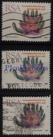 U135 - SOUTH AFRICA 1992 CACTUS GRANDIFLORA VARIETA' COLORE - COLOR VARIETY SET 3 STAMPS USATI - USED - Usados