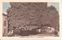 ANGLES-du-TARN (81) Le Marronnier - Angles
