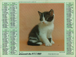 060 - ALMANACH DES P.T.T  1981     -  ANNEE DE VOTRE NAISSANCE - Grand Format : 1981-90