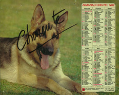 065 - ALMANACH DES P.T.T  1982     -  ANNEE DE VOTRE NAISSANCE - Grand Format : 1981-90