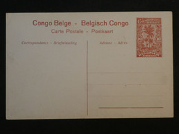 BJ16 CONGO BELGE BELLE CARTE ENTIER SERIE 1 .N°19 RR 1919 NON VOYAGEE++ - Storia Postale