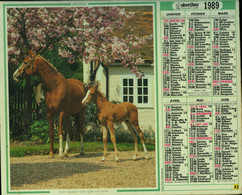 078 - ALMANACH DES P.T.T  1989     -  ANNEE DE VOTRE NAISSANCE - Big : 1981-90