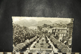 CP, 06, MENTON - Vue Générale Sur Les Jardins - Le Mont Baudon - Menton