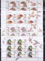 2021 Fauna-game -Birds 4 Sheet 8 Set+ Vignette - MNH (only 500 Pieces ) Bulgaria/Bulgarie - Neufs