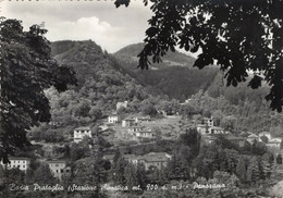 BADIA PRATAGLIA - AREZZO - STAZIONE CLIMATICA - CARTOLINA FG SPEDITA NEL 1958 - PANORAMA - Arezzo