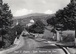 PIEVE SANTO STEFANO - CARTOLINA FG SPEDITA NEL 1956 - VIALE MADONNA DEI LUMI - CAMION IN ARRIVO - Arezzo