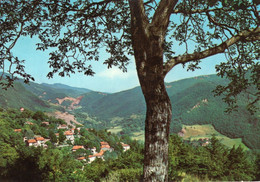 BADIA PRATAGLIA - CARTOLINA FG SPEDITA NEL 1970 - PANORAMA - Arezzo