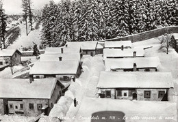 SANT' EREMO DI CAMALDOLI CARTOLINA FG SPEDITA NEL 1964 LE CELLE COPERTE DI NEVE - Arezzo