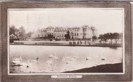 C1761) WELBECK ABBEY Mit Schwänen - Passepartout AK 1949 - Autres & Non Classés