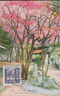 1928-1939. JAPAN. CARTE POSTALE Motive: TAriake-sakura Arima Hot-springs. Franking Yamada, Na... (Michel 193) - JF435844 - Briefe U. Dokumente